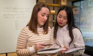 Подготовка к сдаче TOEFL с поддержкой профессиональных педагогов